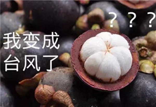“山竹”還未走遠，但貝朗全自動彎線機已正常上班啦！
