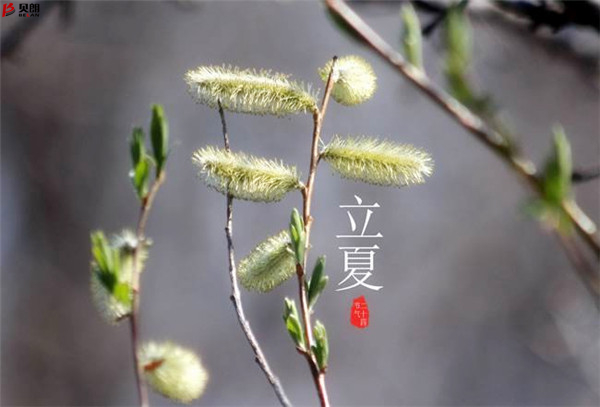 二十四節(jié)氣立夏，那些您不知道的習俗