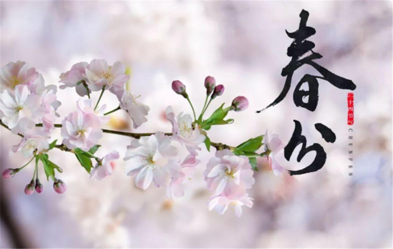 二十四節(jié)氣——春分有哪些習(xí)俗？