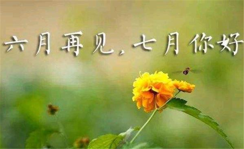 六月再見、7月你好
